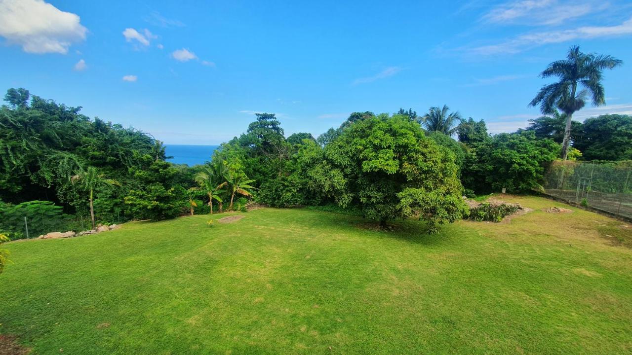 Villa Dianna - Entire Villa, Roof Terrace, Pool, Garden, Sea Views Near Dunn'S River Ocho Rios Exterior photo