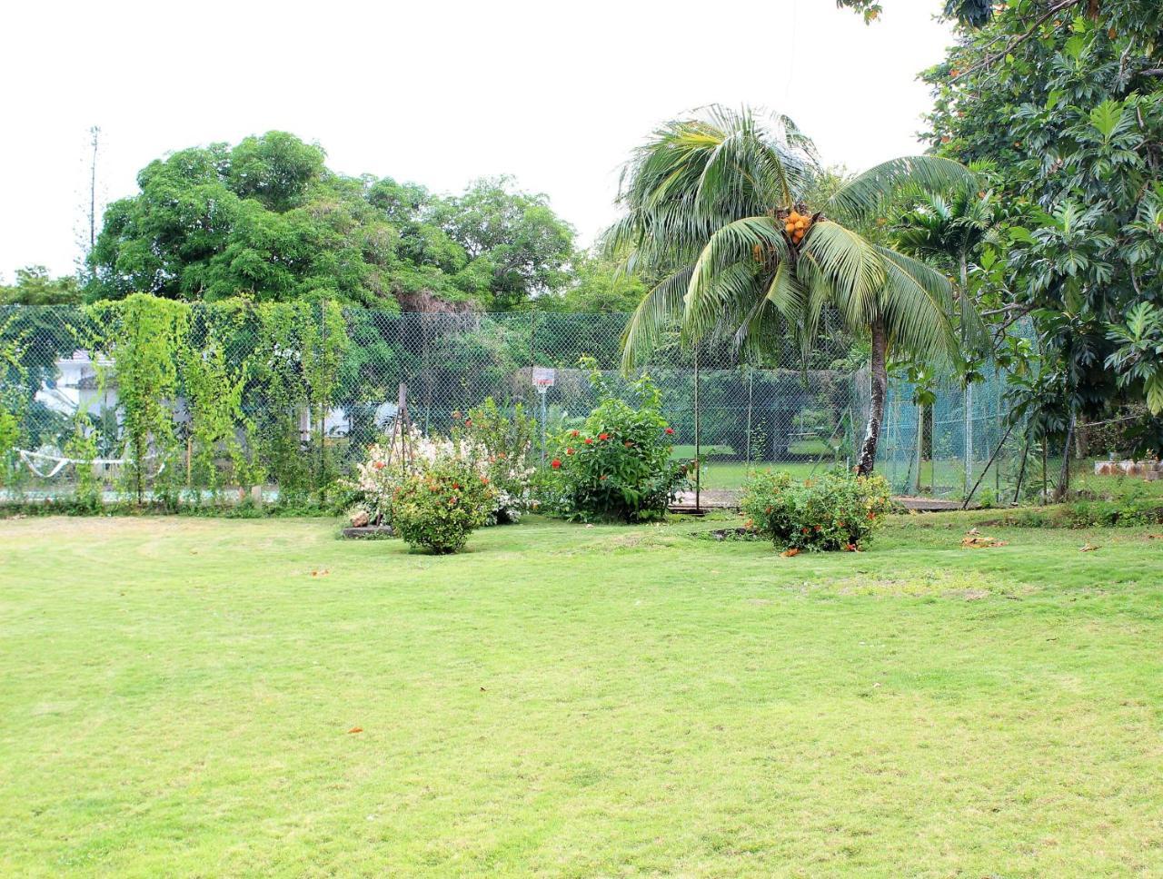 Villa Dianna - Entire Villa, Roof Terrace, Pool, Garden, Sea Views Near Dunn'S River Ocho Rios Exterior photo
